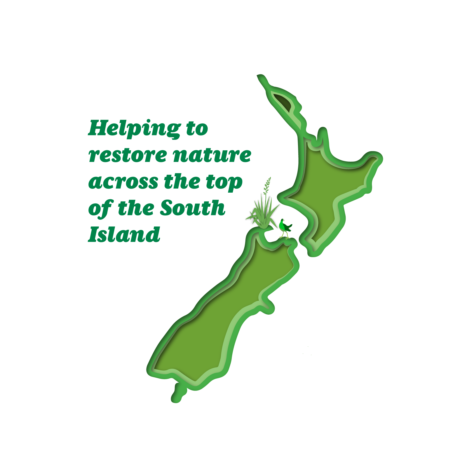 268DB Sustainability Report Web V3 CS Helping To Restore Nature Across The Top Of The South Island