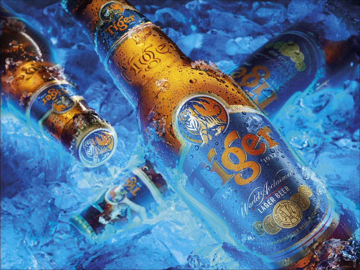 Tiger Beer Bottles Blue