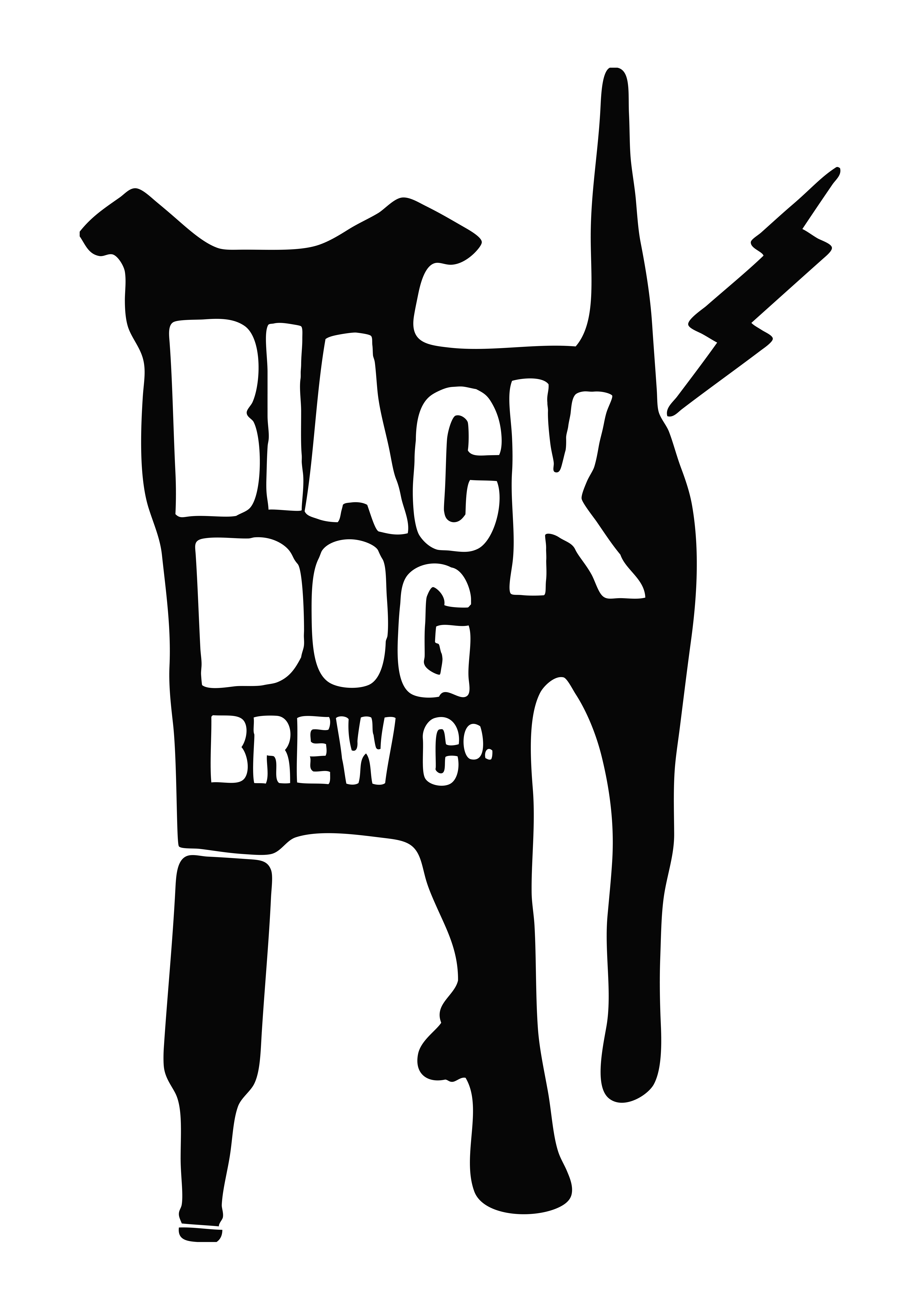 2901 1061 Blackdog Logoblack